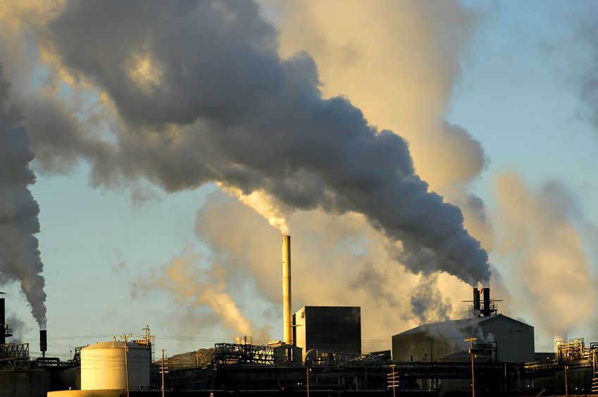 Environmental Toxins - Sources and Alternatives